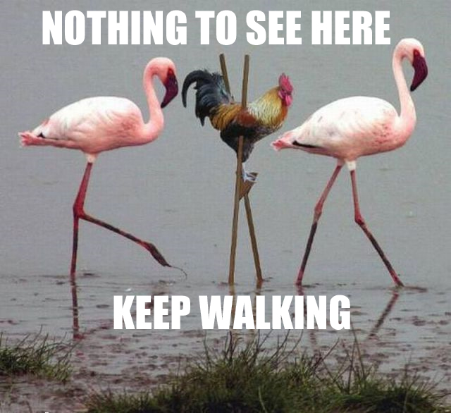 nothing_to_see_here_keep_walking_cock_in_disguise